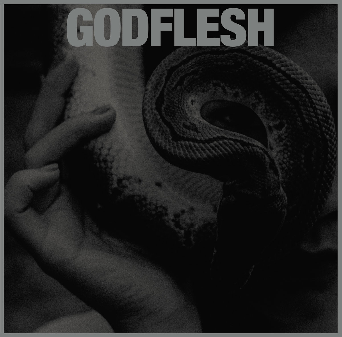 Godflesh-Purge-Album