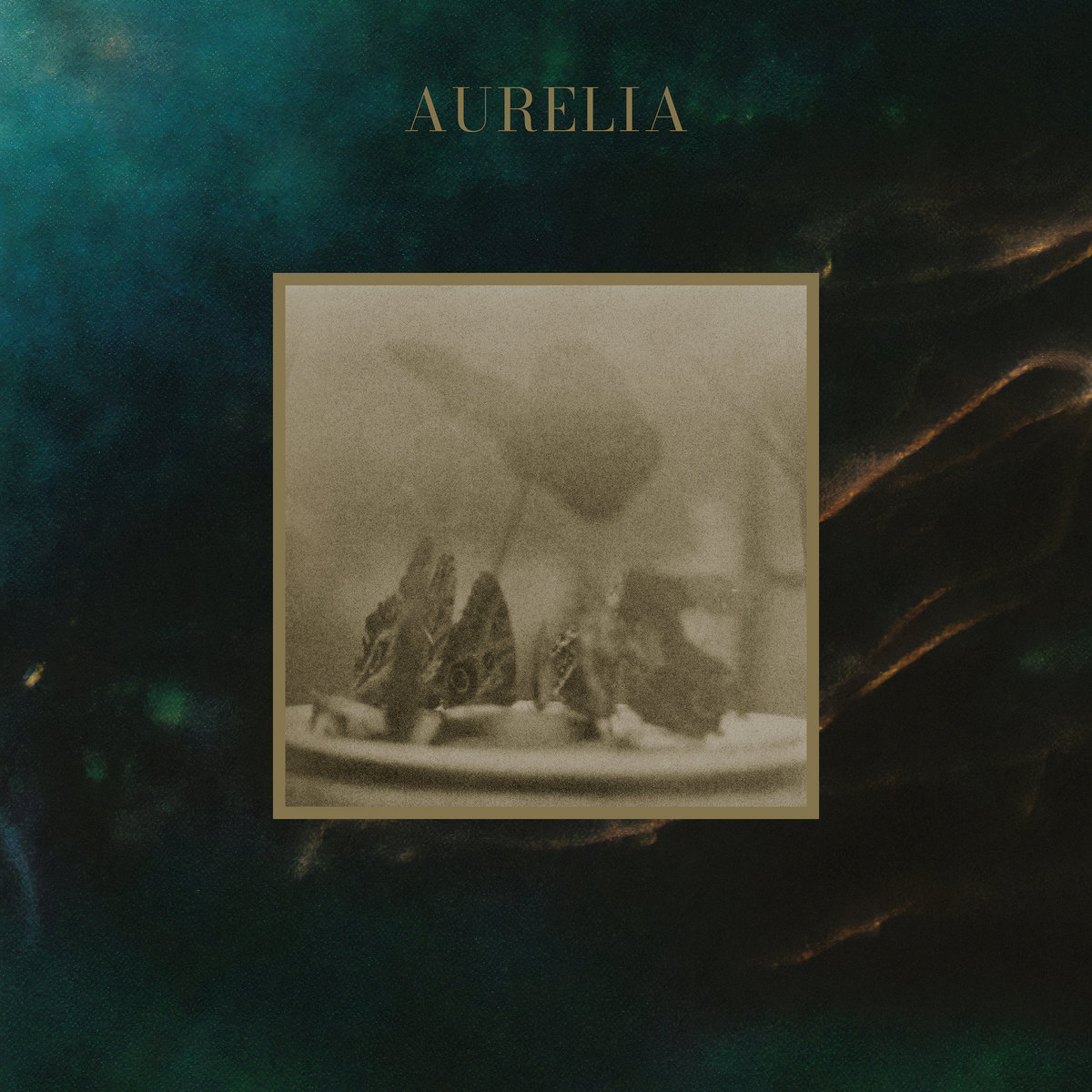 Deary-Aurelia