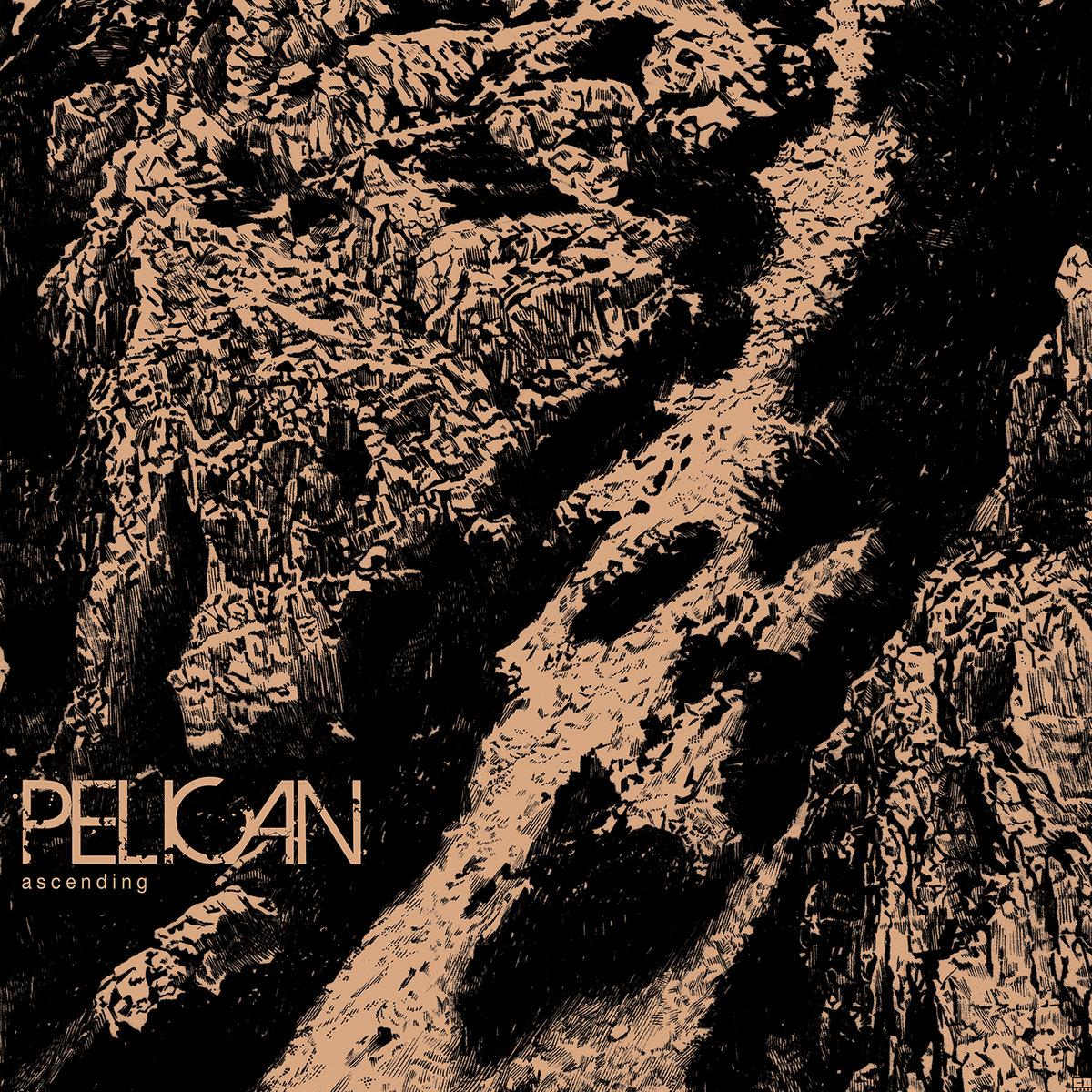 Pelican-Ascend-EP